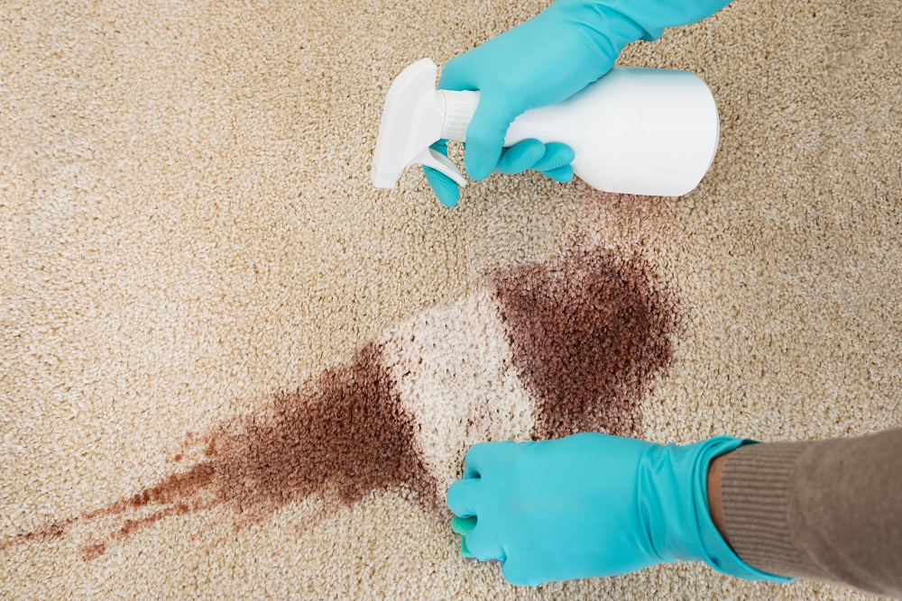 SRU Carpet Cleaning & Water Restoration of Alpharetta Image